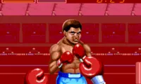 Digital Champ (Japan)