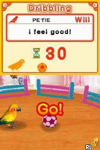 Discovery Kids – Parrot Pals (USA) (En,Fr,Es)