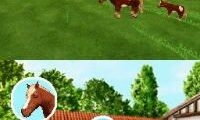 Discovery Kids – Pony Paradise (USA) (En,Fr,Es)