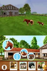 Discovery Kids – Pony Paradise (USA) (En,Fr,Es)