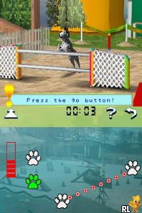Discovery Kids – Puppy Playtime (USA) (En,Fr,Es)