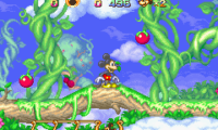 Disney’s Magical Quest Starring Mickey and Minnie (E)(Patience)
