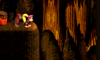 Dixie Kong Country