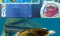 Dolphin Island – Underwater Adventures (Europe) (En,Fr,De,Es,It,Nl) (NDSi Enhanced)