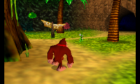 Donkey Kong 64 (Japan)