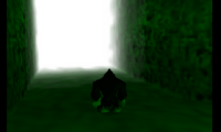 Donkey Kong 64 Kong Quest