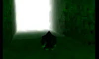 Donkey Kong 64 Kong Quest