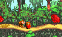 Donkey Kong Country (E)(Menace)