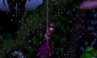 Donkey Kong Country – Expert Edition