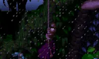 Donkey Kong Country – Expert Edition