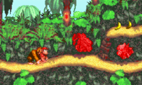 Donkey Kong Country (U)(Evasion)