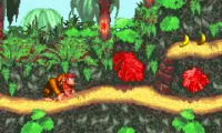 Donkey Kong Country (U)(Evasion)