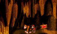 Donkey Kong Country (USA)