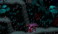 Donkey Kong Country (USA) (Competition Edition)