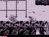 Donkey Kong Land 2: Game Boy Color Edition