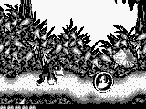 Donkey Kong Land (USA, Europe)