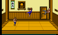 Double Dragon III – The Sacred Stones (USA)