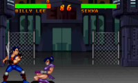 Double Dragon V – The Shadow Falls (World)