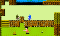 Dragon Ball – Le Secret du Dragon (France)