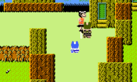 Dragon Power (USA)