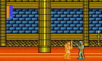 Dragon Unit (Japan)