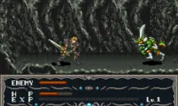 Dragon View (USA)