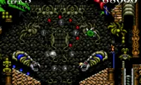 Dragon’s Revenge (USA, Europe)