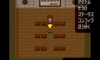 Dual Orb – Seirei Tama Densetsu (Japan)