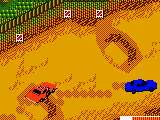 Dukes of Hazzard, The – Racing for Home (USA)