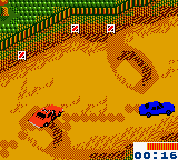 Dukes of Hazzard, The – Racing for Home (USA)