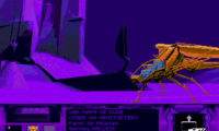 Dune