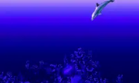Ecco – The Tides of Time (Europe)