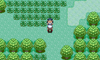 Emerald Uncensored Beta 2