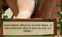 Equitation – Galops 1 a 7 (France)