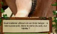 Equitation – Galops 1 a 7 (France)