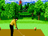 Ernie Els Golf (Europe) (En,Fr,De,Es,It)