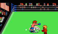 Family Boxing (Japan)