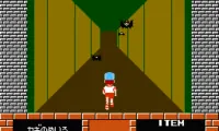 Family Trainer – Meiro Daisakusen (Japan)