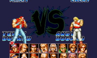 Fatal Fury Special