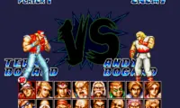 Fatal Fury Special