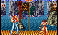 Fatal Fury Special (USA)