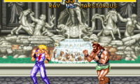 Fighter’s History (Japan)