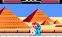 Fighting Hero (Asia) (Unl)