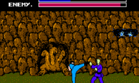 Fighting Road (Japan)
