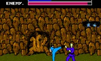 Fighting Road (Japan)