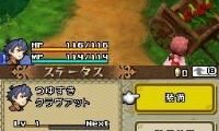 Final Fantasy Crystal Chronicles – Echoes of Time (Japan)