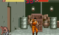 Final Fight Guy (Japan)