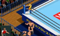 Final Fire Pro Wrestling (J)(Venom)