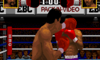 Final Knockout (Japan)