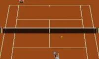 Final Match Tennis (Japan)